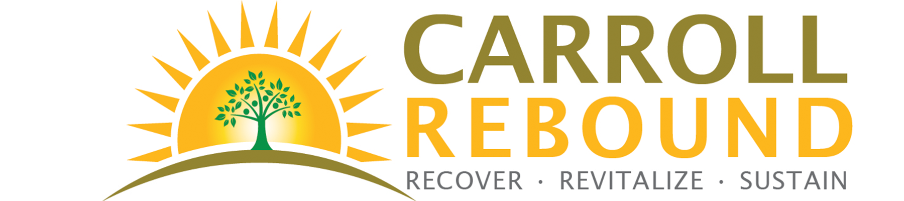 Carroll Rebound Grant Changes Definition of Sole Proprietor Application Deadline Extended to July 31st 
