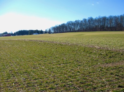 Farm field and tree line- Alban Rural Legacy