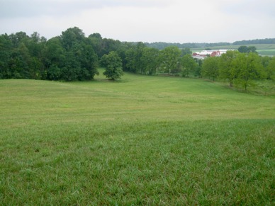 Green field with farm in valley Bangerd MALPF