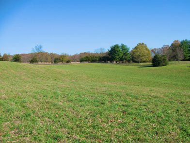 Large field with no crops